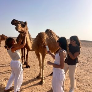 Safari nel deserto di Salalah, Oman