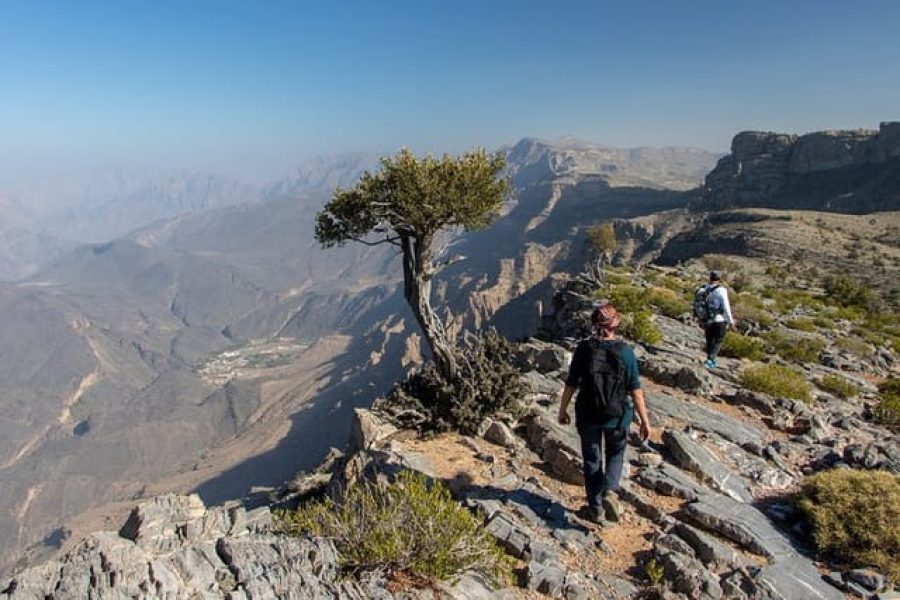 Tour di Jabal Akhdar e Wadi Bani Habib da Muscat o Nizwa