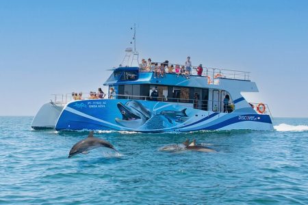 Gita in barca per avvistare i delfini