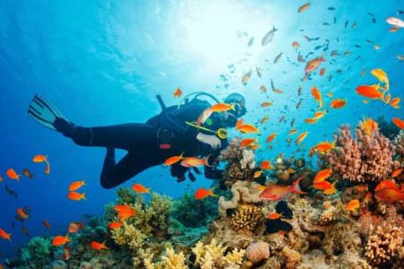 Snorkeling a Mirbat